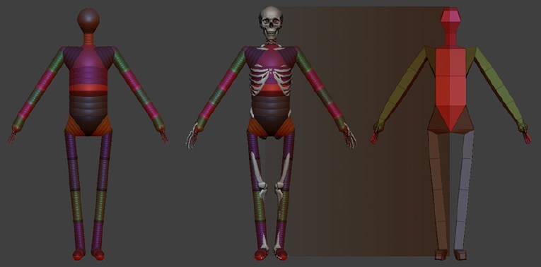 Zbrush Skeleton